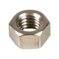 Stainless Nuts
